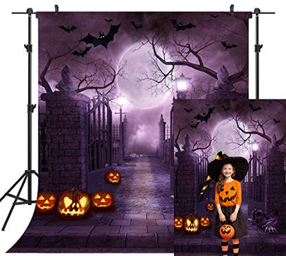 8X8FT Halloween Theme Pictorial Cloth Seamless Customized Photography Backdrop Background Studio Prop TP262B - size: 8X8FT