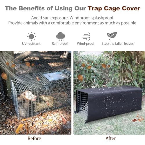 Live Animal Trap Cage with Cover, Heavy Duty Cat Trap for Stray Cats