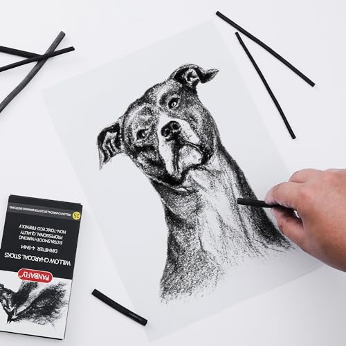 PANDAFLY 25 Pack Willow Charcoal Sticks, 5-7mm, Black Artist Vine Charcoal - size: 5-7mm