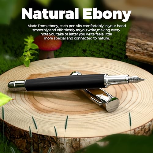 WEMATE Fountain Pen Set for Writing, Fine Nib, Black Ebony - color: Black, style: Ebony