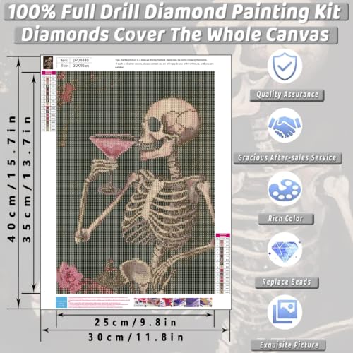 KICHANG Skull Diamond Art Kits for Adult Diamond Painting Kit for Beginner - color: DP04440