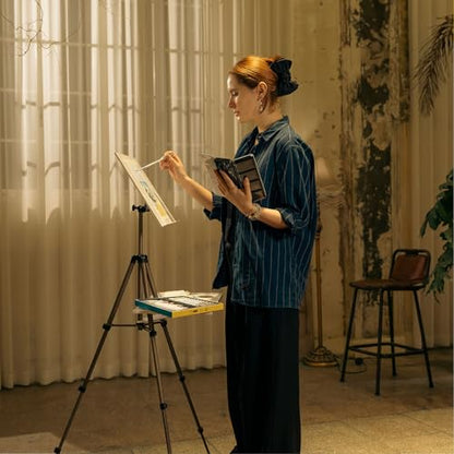 MEEDEN Plein Air Easel for Painting: Adjustable Travel Watercolor Tripod