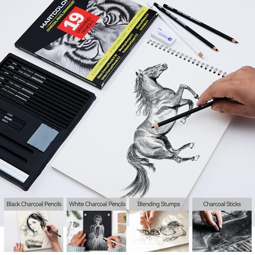 MARTCOLOR Charcoal Drawing Set, 19 Pieces, Black & White Charcoal Pencils - color: Black & White-19 Pack