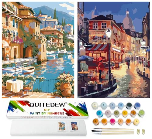 QUITEDEW 2 Pack Paint by Numbers Kit for Adults Colorful Box11.8x15.7 Inch - color: D3-scenery
