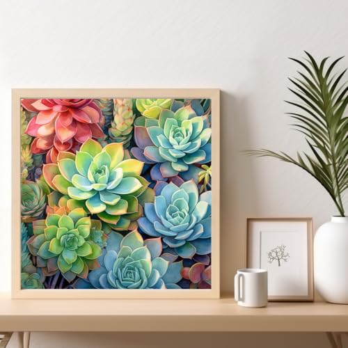 Succulents Framed Paint by Numbers Kit for Adults Beginner 10x10 inch - color: Frame-OP-US14