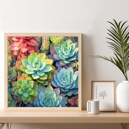 Succulents Framed Paint by Numbers Kit for Adults Beginner 10x10 inch - color: Frame-OP-US14