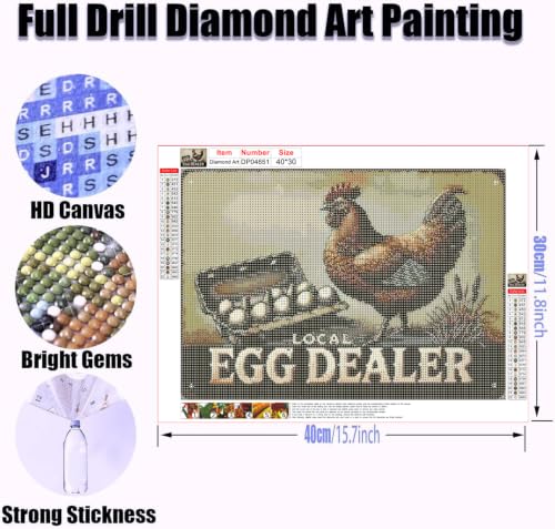 ZeeLionArt Diamond Art Kit, Funny Chicken, 16 x 12 Inch - color: DP04651