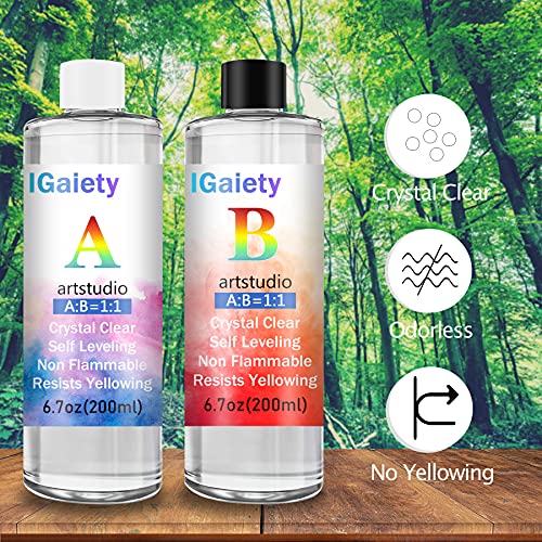 IGaiety Resin Kit for Beginners with Backward Alphabet Mold - size: Alphabet 200ml