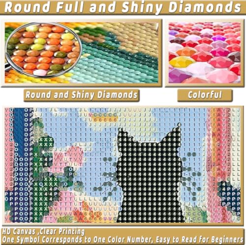 Black Cat Diamond Art Kits for Adults Diamond Painting Kit for Beginner - color: DP04356