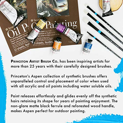 Princeton Aspen Paintbrush, Size 6, Black - size: Size 6