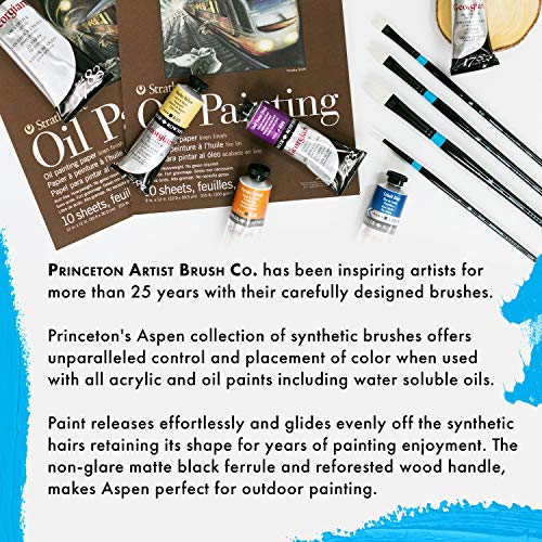 Princeton Aspen Filbert Brush, Synthetic, Long Handle, Size 2, 1 Count - size: Size 2