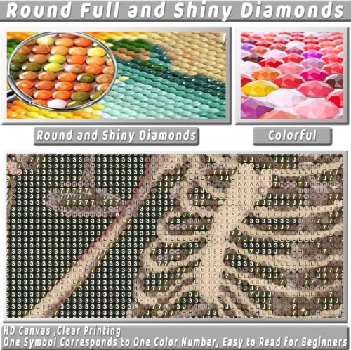 KICHANG Skull Diamond Art Kits for Adult Diamond Painting Kit for Beginner - color: DP04440