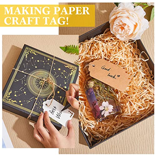 Lewtemi 3 in 1 Craft Tag Punch, 1.5/2/ 2.5" Gift Tag Paper Punches for DIY - style: 3 in 1