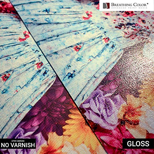 Breathing Color Timeless Archival Print Varnish - 1 Gallon Glossy Finish - Premium Quality Water-Based Canvas Coating with Fade Protection - size: 128 Fl Oz (Pack of 1)