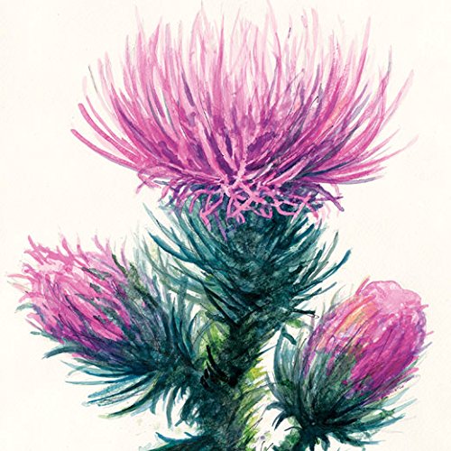 Strathmore P440-18 Watercolor Pad, 6"x18" Wire Bound, 12 Sheets - size: 6 x 18 inches, style: Wire Binding