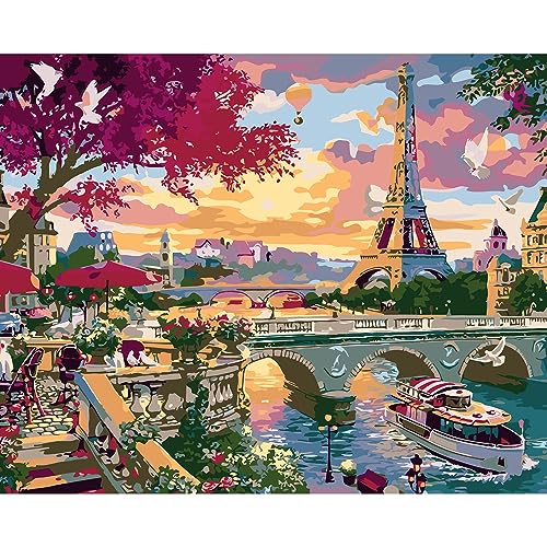QUITEDEW Eiffel Tower Paint by Number Kit for Adults,16x20 Inch - color: A6-eiffel tower