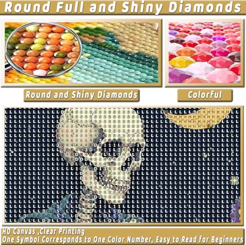 Skull Diamond Art Kits for Adults Funny Diamond Painting Kit for Beginner - color: DP03845