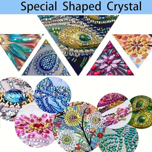 AIBOERL 2 Pack Diamond Art Kits for Adults, Bird Acrylic Hanging Suncatcher - color: DP03257