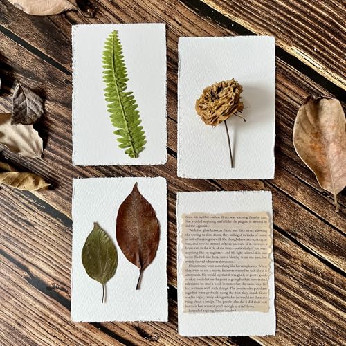 Deckle Edge Watercolor Paper, 100% Cotton, 140 LB, 300 g/m², 30 Sheets - size: 5" X 7"