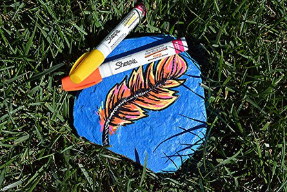 Sharpie Oil-Based Paint Marker, Extra Fine Point, Metallic Silver, 1 Count - Great for Rock Painting