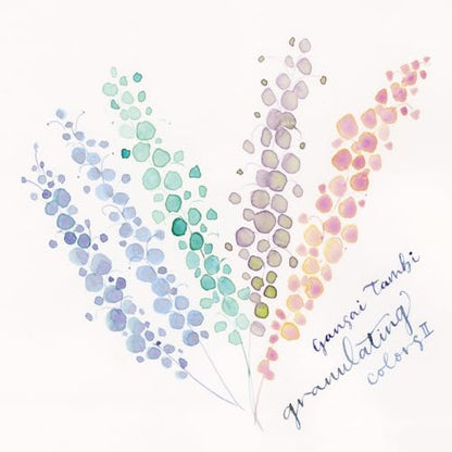 Kuretake Gansai Tambi GRANULATING COLORS 2, 5 Color Set, Made in Japan - style: Granulating II
